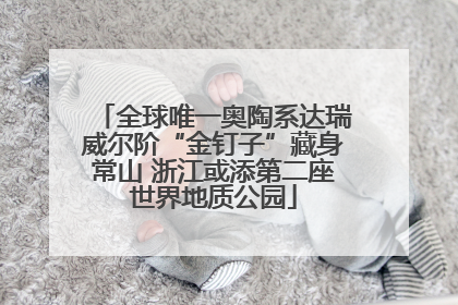 全球唯一奥陶系达瑞威尔阶“金钉子”藏身常山 浙江或添第二座世界地质公园