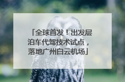 全球首发！出发层泊车代驾技术试点，落地广州白云机场