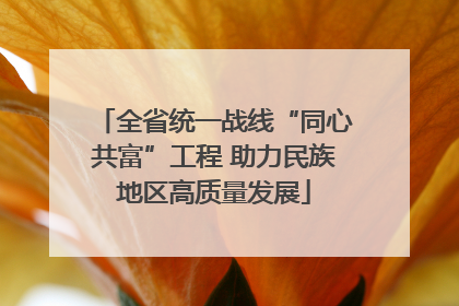全省统一战线“同心共富”工程 助力民族地区高质量发展