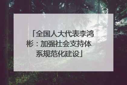 全国人大代表李鸿彬：加强社会支持体系规范化建设