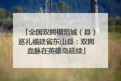 全国双拥模范城（县）巡礼福建省东山县：双拥血脉在英雄岛延续