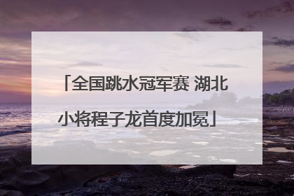 全国跳水冠军赛 湖北小将程子龙首度加冕