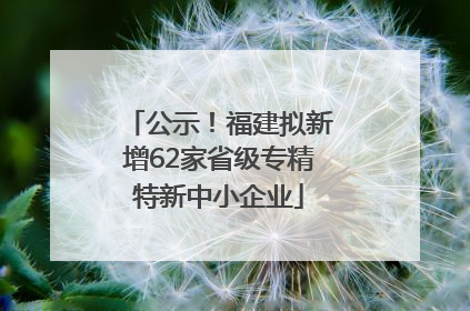 公示！福建拟新增62家省级专精特新中小企业