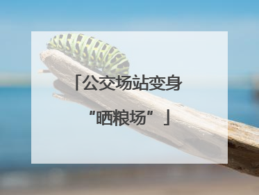公交场站变身“晒粮场”