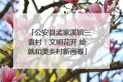 公安县孟家溪镇三袁村：文明花开 绘就和美乡村新画卷