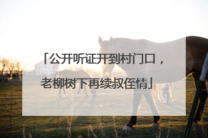 公开听证开到村门口，老柳树下再续叔侄情