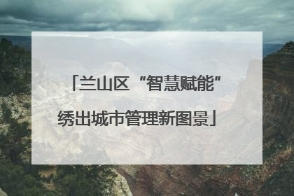兰山区“智慧赋能”绣出城市管理新图景