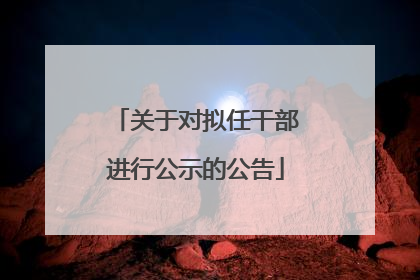 关于对拟任干部进行公示的公告
