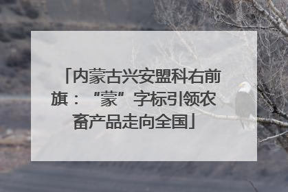 内蒙古兴安盟科右前旗：“蒙”字标引领农畜产品走向全国