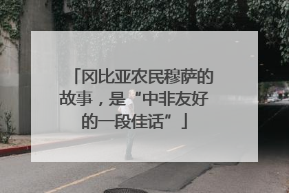 冈比亚农民穆萨的故事，是“中非友好的一段佳话”