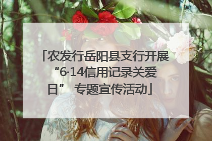 农发行岳阳县支行开展“6·14信用记录关爱日” 专题宣传活动
