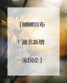 刚刚宣布！湖北新增一家国企