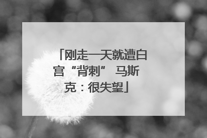 刚走一天就遭白宫“背刺” 马斯克：很失望