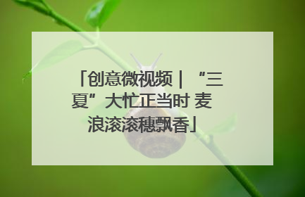 创意微视频｜“三夏”大忙正当时 麦浪滚滚穗飘香