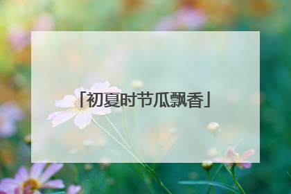 初夏时节瓜飘香