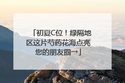 初夏C位！绿隔地区这片芍药花海点亮您的朋友圈→