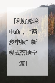 利好跨境电商，“两步申报”新模式落地宁波