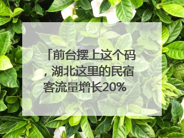 前台摆上这个码，湖北这里的民宿客流量增长20%｜湖北市场监管所的故事