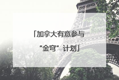 加拿大有意参与“金穹”计划