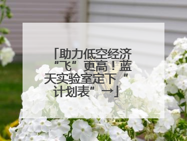 助力低空经济“飞”更高！蓝天实验室定下“计划表”→