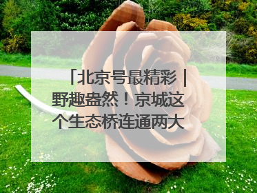北京号最精彩｜野趣盎然！京城这个生态桥连通两大网红公园
