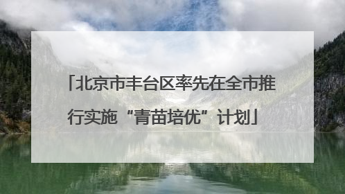 北京市丰台区率先在全市推行实施“青苗培优”计划