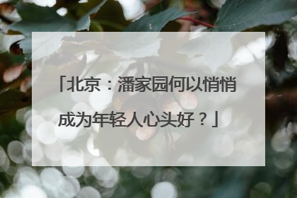 北京：潘家园何以悄悄成为年轻人心头好？