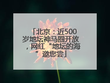 北京：近500岁地坛神马圈开放，网红“地坛的海”邀您尝