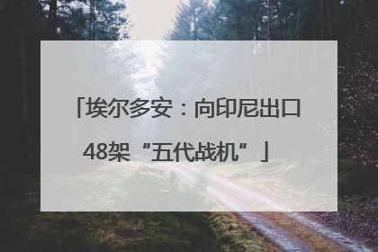 埃尔多安：向印尼出口48架“五代战机”