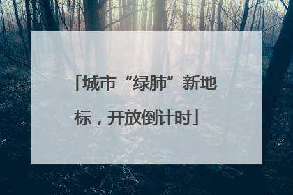城市“绿肺”新地标，开放倒计时