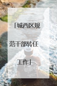 城西区规范干部转任工作