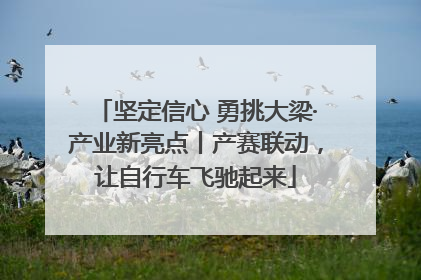 坚定信心 勇挑大梁·产业新亮点丨产赛联动，让自行车飞驰起来