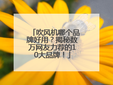 吹风机哪个品牌好用？揭秘数万网友力荐的10大品牌！