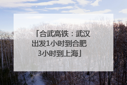 合武高铁：武汉出发1小时到合肥3小时到上海