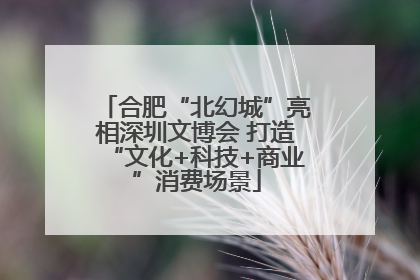 合肥“北幻城”亮相深圳文博会 打造“文化+科技+商业”消费场景