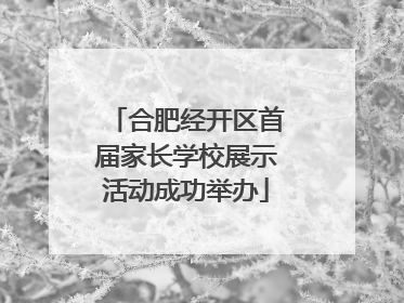 合肥经开区首届家长学校展示活动成功举办