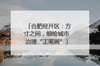 合肥经开区：方寸之间，细绘城市治理“工笔画”