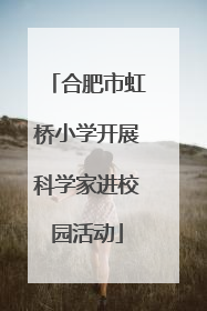 合肥市虹桥小学开展科学家进校园活动