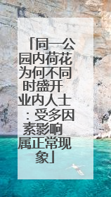 同一公园内荷花为何不同时盛开 业内人士：受多因素影响 属正常现象