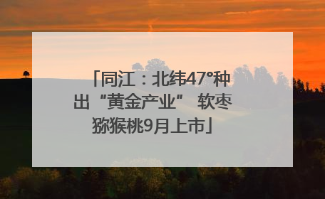 同江：北纬47°种出“黄金产业” 软枣猕猴桃9月上市