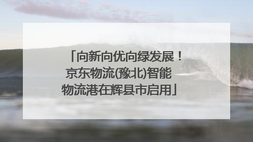 向新向优向绿发展！京东物流(豫北)智能物流港在辉县市启用