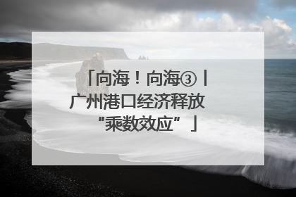 向海！向海③丨广州港口经济释放“乘数效应”