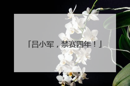 吕小军，禁赛四年！
