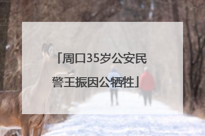 周口35岁公安民警王振因公牺牲