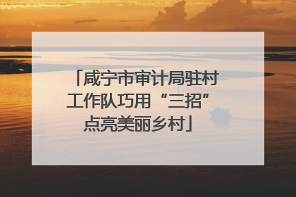 咸宁市审计局驻村工作队巧用“三招”点亮美丽乡村