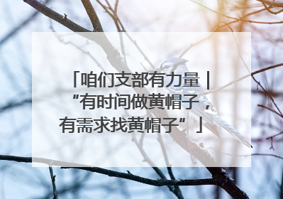 咱们支部有力量｜“有时间做黄帽子，有需求找黄帽子”