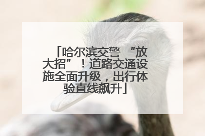 哈尔滨交警 “放大招”！道路交通设施全面升级，出行体验直线飙升