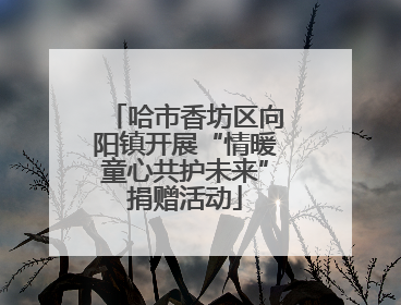 哈市香坊区向阳镇开展“情暖童心共护未来”捐赠活动