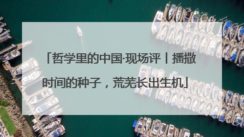 哲学里的中国·现场评丨播撒时间的种子，荒芜长出生机
