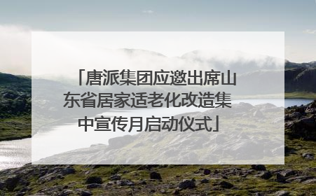 唐派集团应邀出席山东省居家适老化改造集中宣传月启动仪式